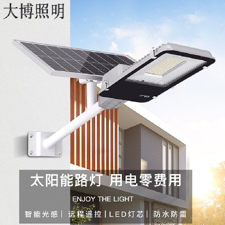 LED太陽(yáng)能路燈農(nóng)村改造道路照明工程6米光伏太陽(yáng)能路燈廠家批發(fā)