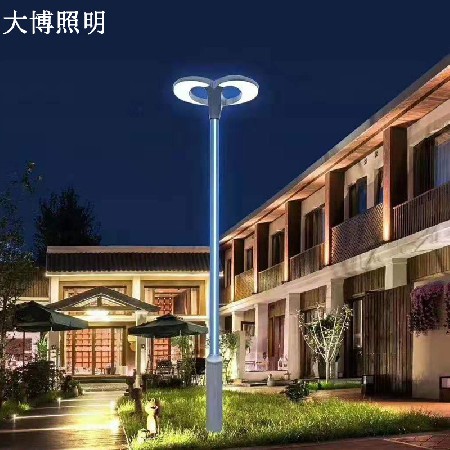 led庭院燈二泉映月景觀燈戶外特色現(xiàn)代廣場公園道路照明高桿燈